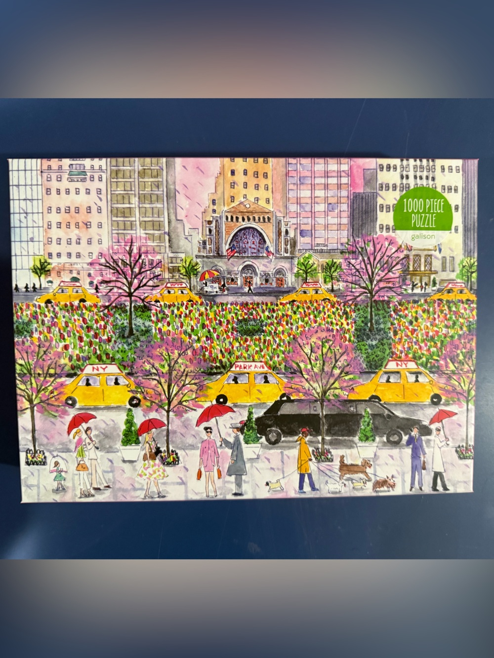 Galison 1000 piece puzzle